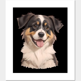 Dreamy Gaze of the Australian Shepherd Posters and Art